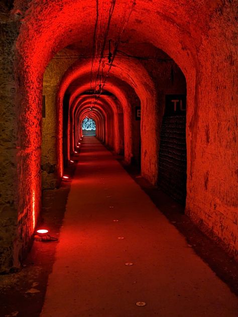 Champagne Cellar Domaine Pommery Champagne France Champagne Cellar, Life Romanticized, Champagne France, My Photos, Champagne, Photo And Video, France