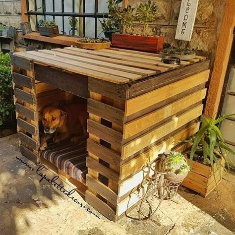 Diy Dog Run, Kennel Ideas Outdoor, Pallet Dog House, Diy Pet Bed, Puppy Room, Wooden Dog House, Dog House Plans, Outdoor Dog House, Dog Yard