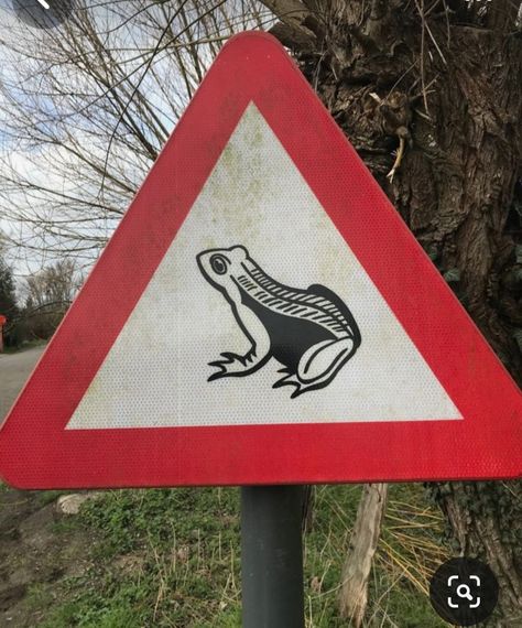 Beware Sign, Stop Sign, Canada Flag, Frogs, Country Flags, Life Is Good, Signs