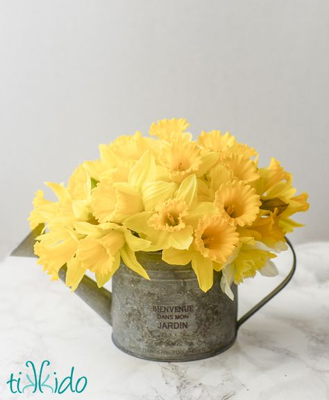 Easy Spring Daffodil Floral Arrangement for Easter | Tikkido.com Daffodil Centerpiece Simple, Flower Bouquet Daffodils, Daffodil Tablescape, Daffodil Vase Arrangement, Daffodils In Vase, Daffodil Wedding, Easter Flower Arrangements, Daffodil Teacup, Metal Watering Can