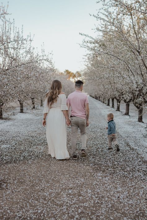 Family Photos Blossom Trees, Apple Blossom Photo Shoot, Almond Orchard Photoshoot, Orchard Photoshoot, Orchard Photography, Almond Orchard, Almond Blossoms, Family Photo Ideas, Apple Blossoms