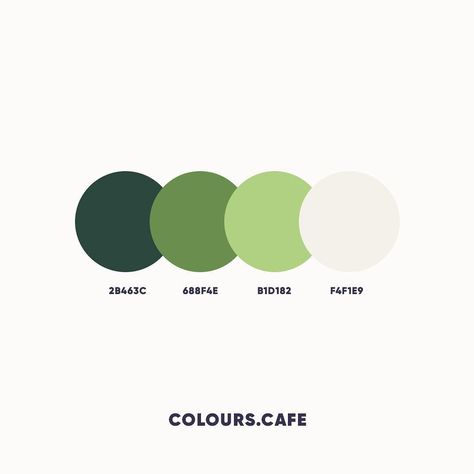 Pantone Cmyk, Colors Code, Flat Color Palette, Pantone Colour Palettes, Graphisches Design, Window Graphics, Color Schemes Colour Palettes, Green Palette, Aesthetic Green