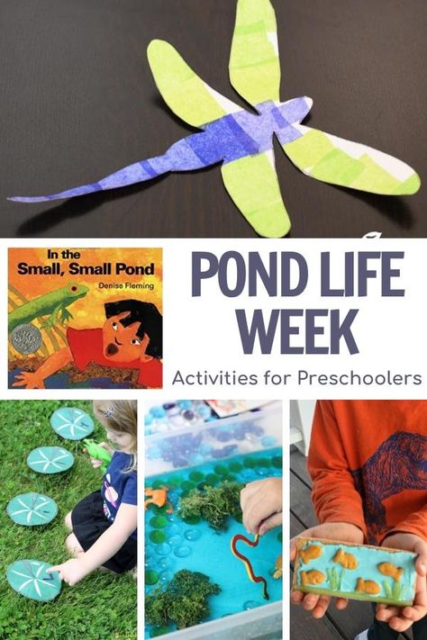 A fun week of easy to do activities for the theme of ponds and featuring the book In a Small, Small Pond by Denise Fleming for Preschoolers Lake Crafts For Kids, Jabari Jumps, Lake Crafts, Pond Life Theme, Pond Crafts, Pond Habitat, Pond Animals, Lesson Plans For Toddlers, Frog Theme