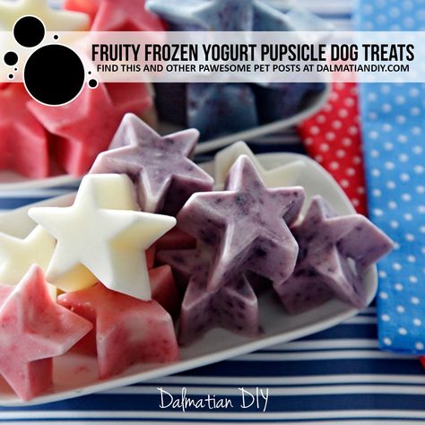 4th Of July Dog Treats, Jack Snacks, Yogurt Dog Treats, Summer Dog Treats, Frozen Dog Treats Recipes, Frozen Dog Treats Homemade, Frosty Paws, Pet Recipes, Kitty Play