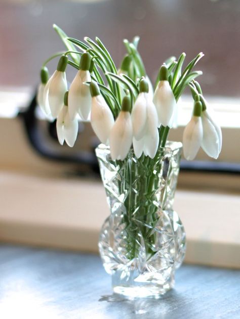 Flowers In The Sun, Fake Flowers Decor, Snowdrop Flower, Garden Angels, Crystal Vase, Floral Vase, Beautiful Flowers Pictures, Types Of Flowers, Fake Flowers