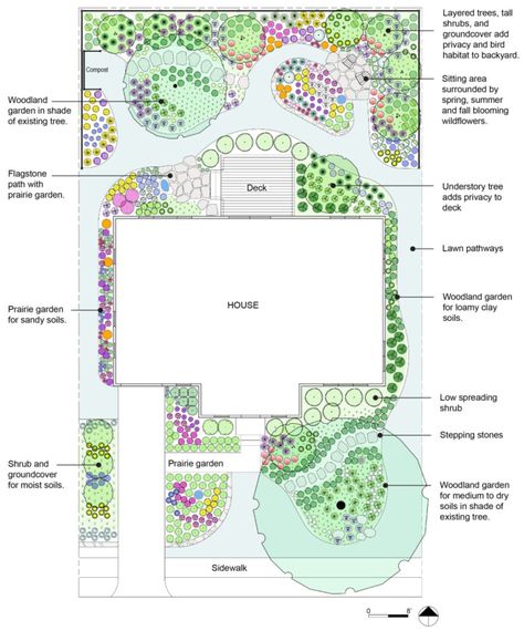 Native Garden Plan, Species Ideas, Native Plant Landscape, Red Twig Dogwood, Twig Dogwood, Ecology Design, Prairie Garden, Garden Plan, Garden Decor Ideas