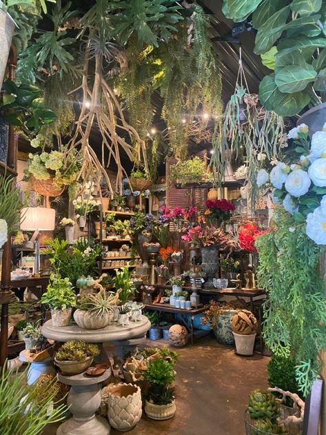 Plant Shop Photography, Aesthetic Plant Shop, Vintage Florist Aesthetic, Plant Nursery Aesthetic, Botanica Shop, Horticulture Aesthetic, Plant Store Display, Floral Shop Aesthetic, Retro Plant Shop