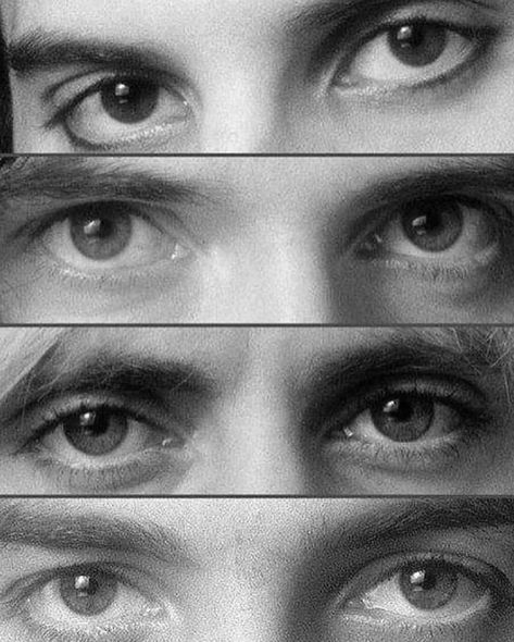 Freddie, Brian, Roger and Deacy Fred Mercury, Queen Meme, Roger Taylor Queen, Queen Ii, Freddy Mercury, Ben Hardy, Queen Photos, Roger Taylor, We Will Rock You