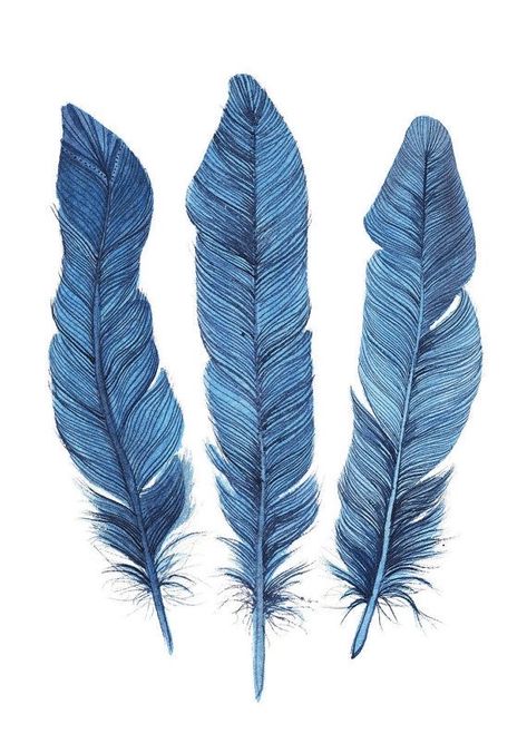 Vex Cosplay, Cup Sketch, Chic Artwork, Turquoise Home Decor, Turquoise Wall Art, Coastal Style Decorating, Blue Feathers, Turquoise Painting, Watercolor Feather