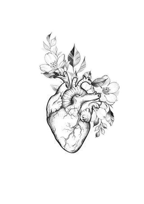 Flowers Growing From Heart Tattoo, Anatomy Tattoo Designs, Anatomical Heart Drawing Flowers, Heart Warrior Tattoo, Anatomy Heart Tattoo, Anatomical Heart Tattoo With Flowers, Heart With Flowers Tattoo, Real Heart Tattoos, Human Heart Tattoo