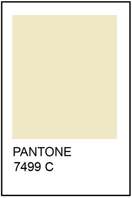 Pantone Cream Paint Card - there you go - that's the one you've been looking for. Ivory Pantone, Cream Pantone, Wall Color Schemes, Project Room, Wall Colour, Cream Paint, Room Refresh, Cream Walls, Yellow House