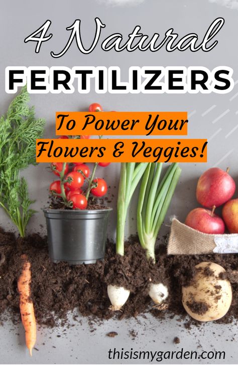 Flower And Vegetable Garden, Soil Nutrients, Natural Plant Fertilizer, Soil Microorganisms, Vegetable Plants, Fall Vegetables, Natural Fertilizer, Fertilizer For Plants, Organic Garden