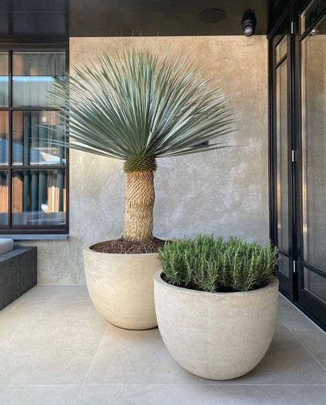 modren outdoor planter Hydro Plants, Modern Garden Design Ideas, Weathered Concrete, Large Plant Pots, Modern Backyard Landscaping, Gardening Hacks, Patio Garden Design, Modern Garden Design, Home Garden Design