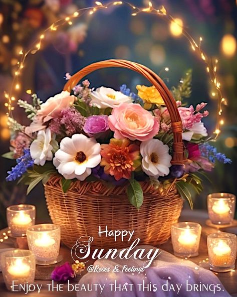 Start Your Sunday with a Smile: Sunday Quotes, Wishes, and Blessings Sunday Morning Wishes, Blessed Sunday Morning, Blessed Sunday Quotes, Happy Sunday Images, Sunday Rose, Good Morning Sunday Images, Blessing Quotes, Happy Sunday Morning, Sunday Morning Quotes