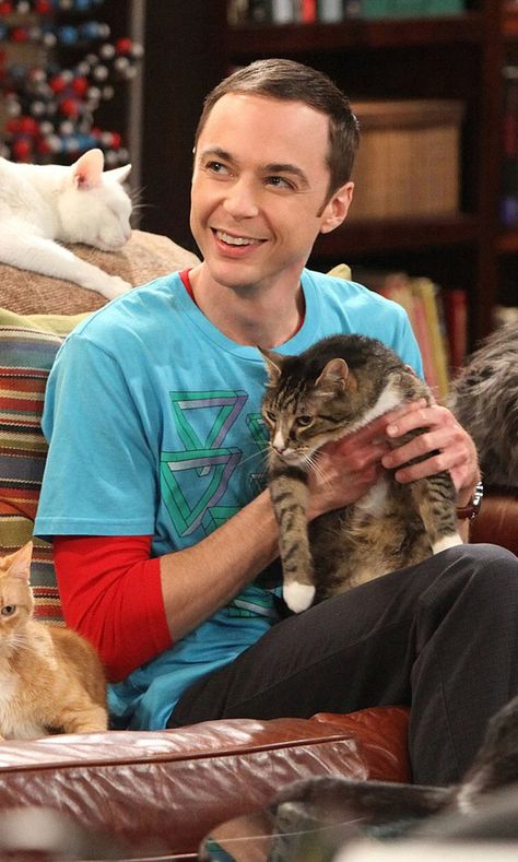 Sheldon Cooper Aesthetic, Sheldon Cooper Wallpaper, Big Bang Theory Wallpaper, Big Bang Theory Memes, Bigbang Theory, The Big Band Theory, The Bigbang Theory, Neko Atsume, Young Sheldon