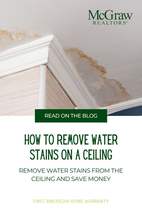 Finding ceiling stains can instill worry and fear. No longer worry, as removing a ceiling water stain is simpler than you expect. Follow First American Home Warranty’s guide to learn how to quickly and easily tackle those pesky ceiling stains and prevent them from returning. Water Stain On Ceiling, Water Damaged Ceiling, Remove Water Spots, Remove Water Stains, Wall Stains, Drywall Ceiling, Water Based Primer, Popcorn Ceiling, Diy Cleaning Solution