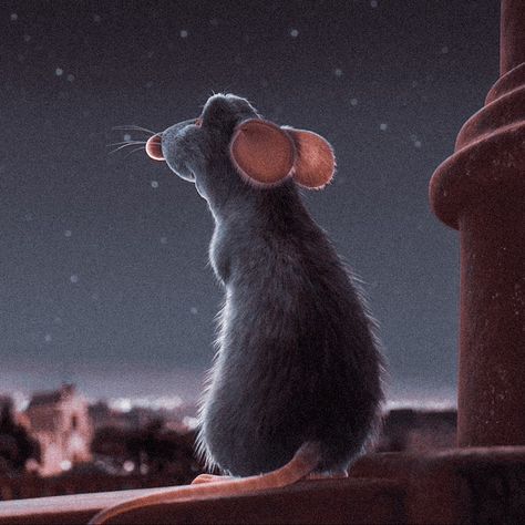 Big Widget, Ratatouille Remy, Disney Movies, Collage, Cake, Disney, Memes, Anime, Pins