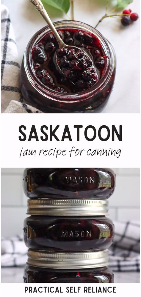 Looking for no pectin jam recipes? We've got you covered! Our Saskatoon Berry Jam recipe is made without pectin and results in a deliciously sweet spread that you can enjoy on toast, in desserts, or as a unique homemade gift. Known also as serviceberry or juneberry jam, this recipe is a must-try for any home canner. Saskatoon Berry Jam, Saskatoon Jam, Jam Recipes For Canning, Saskatoon Recipes, Saskatoon Berry Recipe, Homemade Jam Recipes, Creative Canning, Canning Fruit Recipes, Recipes For Canning