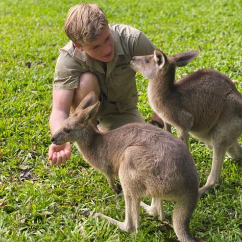 Zoologist Career, Irwin Family, Dubai Safari, Crocodile Hunter, Wildlife Biologist, My Future Job, Wildlife Rehabilitation, Zoo Keeper, Vet Student