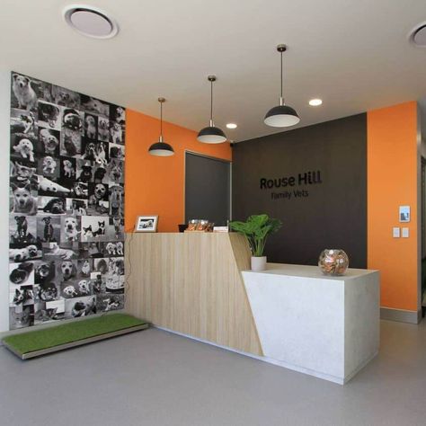 Veterinary Clinic Ideas Reception Desks, Vet Clinic Color Scheme, Veterinary Lobby Reception Areas, Vet Lobby Ideas, Vet Waiting Room Ideas, Veterinary Interior Design, Vet Interior Design, Veterinary Clinic Ideas Design, Fear Free Veterinary Design