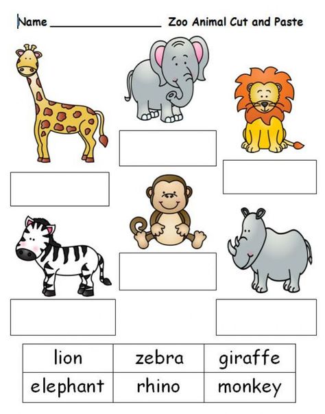 Zoo animals worksheet for Primary Grade 1-2 Zoo Activities Preschool, Zoo Animals Preschool, Zoo Lessons, Zoo Animal Activities, Zoo Preschool, Zoo Animal Crafts, Zoo Activities, Animal Activities For Kids, Zoo Art