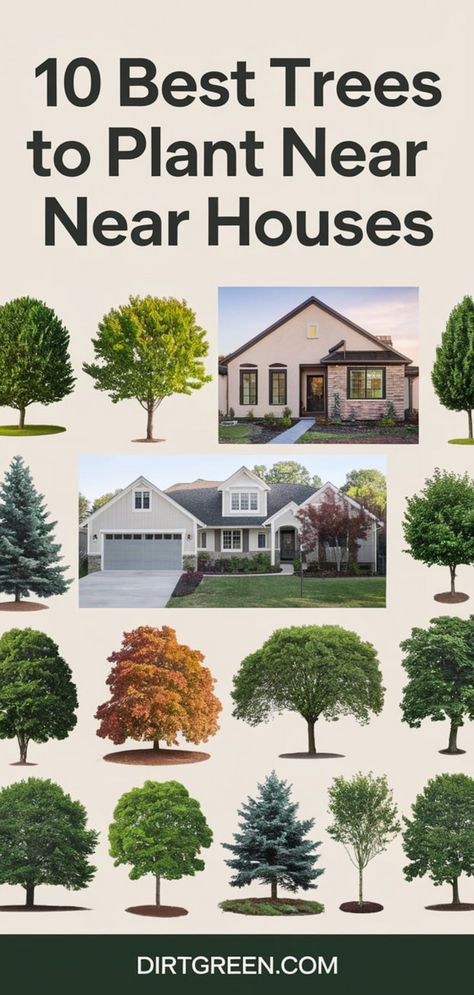 Enhance your home’s curb appeal with these top trees to plant near your house. These trees provide shade, beauty, and safety, making them the perfect addition to your yard. Hashtags: #BestTrees #TreesForHomes #CurbAppeal #HomeLandscaping #ShadeTrees #TreePlantingTips #GardenIdeas Backyard Landscaping Trees Yard Ideas, How To Plant Trees In Yard, Container Trees Outdoors, Front Yard Trees Curb Appeal, North American Trees, Tree Landscaping Ideas Front Yard, Landscape Trees Front Yard, Front Yard Tree Ideas, Trees Around House