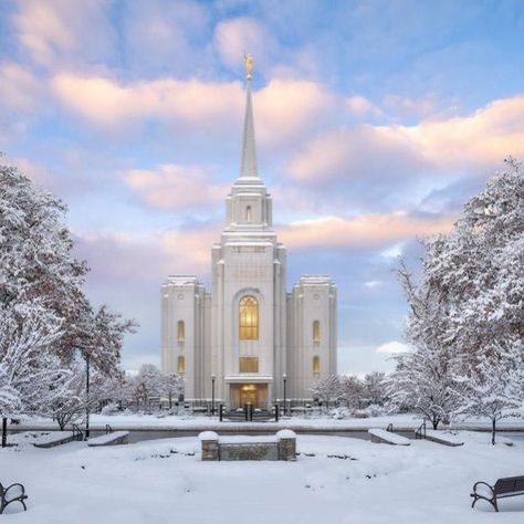 Pictures Inside the Beautiful New Rome Italy Temple - LDS Temple Pictures Brigham City Utah, Brigham City Temple, Rome Italy Temple, Celestial Room, Lds Temple Pictures, Utah Temples, Temple Pictures, Lds Temples, Rome Italy