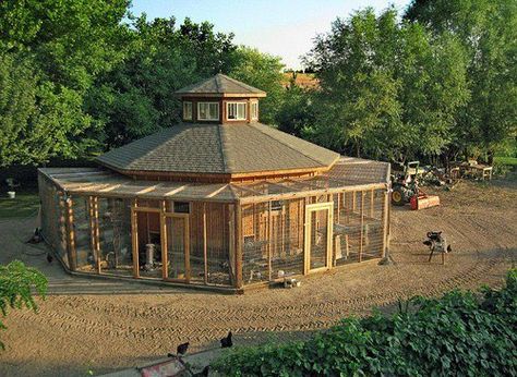 Martha Stewart's Coop Pigeon Keeping, Chicken Fencing, Pets Stuff, Homesteading Animals, Chicken Coup, Coop Design, Best Chicken Coop, Chicken Coop Designs, Coop Plans