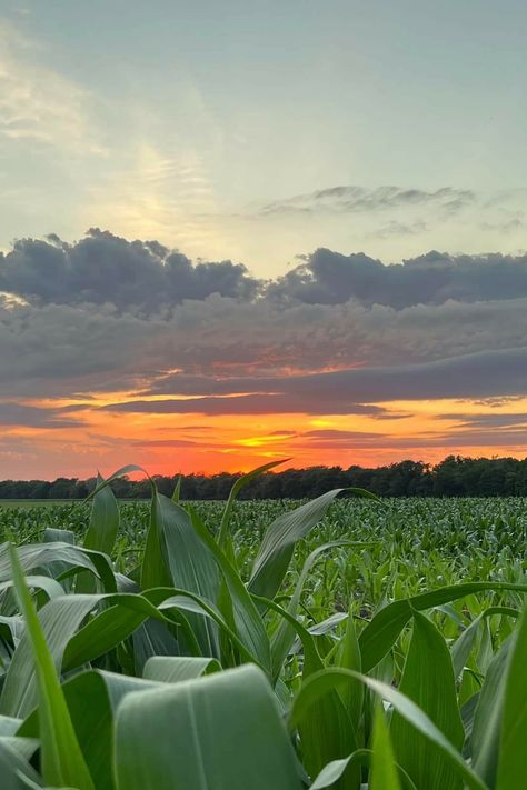 Iowa Aesthetic, Iowa Farmland, Iowa Landscape, Darkest Hour, Story Board, Gods Creation, Winter Aesthetic, Iowa, The Darkest