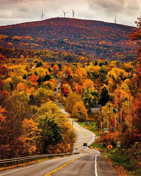 Edgar L. on Instagram: “🍁🍁🍁 Finger Lakes mountains. . . . . . #flx #countryside #country #fall #ispyny #upstatenewyork #kryptonist #travel #foliage #autumnleaves…” New York Countryside, The Finger Lakes, Finger Lakes, Upstate New York, Best Places To Travel, New York State, Pretty Colours, Fall Vibes, World's Best