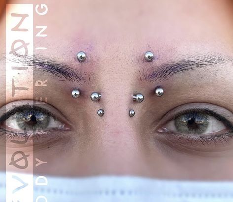 @piercingsbysyndesi on insta Eyebrow Piercings, Face Piercings, Cool Piercings, Piercing Inspo, Facial Piercings, Cute Piercings, Eyebrow Piercing, Body Jewelry Piercing, Body Piercings