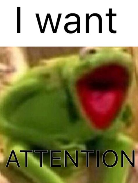 I Want Attention Funny, Give Me Attention Cute, Give Me Attention Funny, I Want Attention Reaction Pic, I Need Attention Reaction Pic, Attention Please Meme, Attention Reaction Pic, Give Me Attention Reaction Pic, I Need Attention Meme