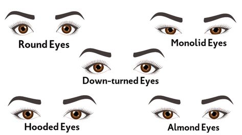 Eyeliner For Round Eyes, How To Draw Eyeliner, Makeup For Round Eyes, Eyeliner For Almond Eyes, Eyes Shape, Subtle Smokey Eye, Almond Eye Makeup, Dramatic Eyeliner, Classic Eyeliner