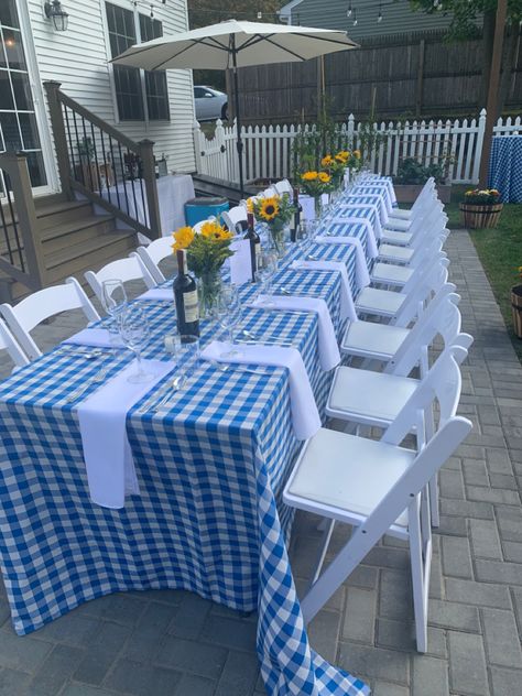 Bridal Shower Bbq, Backyard Bbq Party Decorations, Bbq Party Decorations, Checkered Table, Gingham Party, Backyard Baby Showers, Outdoor Dinner Party, Blue Picnic, Backyard Bbq Party