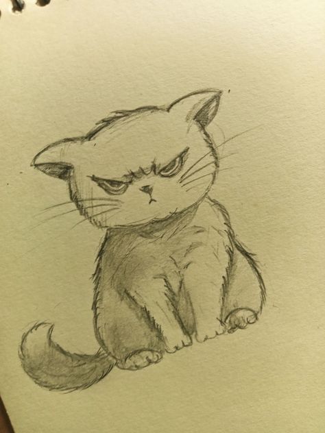 Angry Drawings Doodles, Cat Doodle Art Ideas, Drawings Of Cats Sketch, Angry Cat Doodle, Drawing Cat Easy, Easy Drawings Cat, Cute Cat Sketches, Grumpy Cat Drawing, Angry Sketch