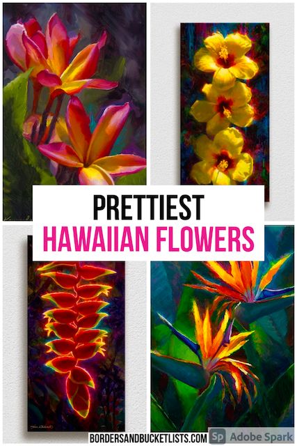 A Local’s Guide to the Prettiest Hawaiian Flowers | Borders & Bucket Lists Hawaiian Landscaping Ideas, Hawaii Flower Painting, Hawaii Flowers Wallpaper, Hawaiian Flowers Drawing, Hawaii Gardening, Hawaii Drawing, Flowers Of Hawaii, Hawaii Hibiscus Flower, Heliconia Plant