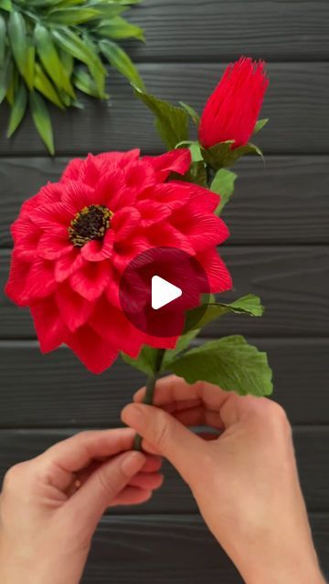 Origami Amazing 🤩 Paper Craft Tutorials on Instagram: "How to Make Dahlia Paper Flowers #diy #homedecor #paperflower #flowers #papercrafts #foryou #fyp" Dahlia Paper Flowers, Paper Craft Tutorials, Paper Flowers Diy, Flowers Diy, Craft Tutorials, Paper Craft, Dahlia, Paper Flowers, Origami