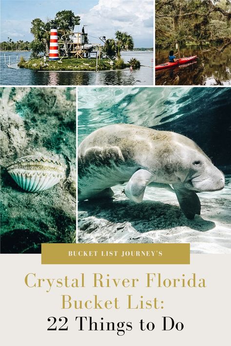 From restaurants to beaches (and of course manatees), these are the best things to do in Crystal River Florida. Top hotel pick too! Crystal River Manatees, Crystal River Florida Things To Do, Crystal Lake Florida, Crystal Springs Florida, Florida Manatees, Florida Bucket List, Best Places In Florida, Orlando Florida Vacation, Florida Vacation Spots