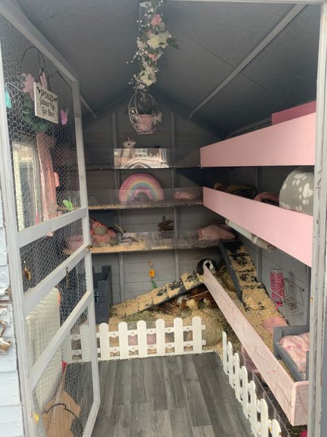 Updated Guinea Pig Shed, unicorns & rainbows Guinea Pig Shed Ideas, Guinea Pig Room Ideas, Guinea Pig Cage Ideas Indoor, Rabbit Shed Ideas, Guinea Pig Cage Ideas, Bunny Sheds, Indoor Guinea Pig Cage, Rabbit Shed, Guinea Pig Run