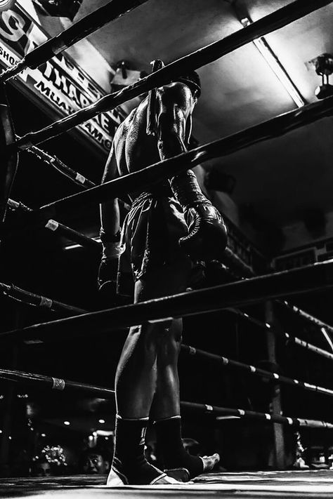 Boxer Aesthetic, Boxing Images, Endurance Workout, Sports Aesthetic, Boxing Workout, Beautiful Dark Art, Foto Art, Mma Fighters, Book Inspiration