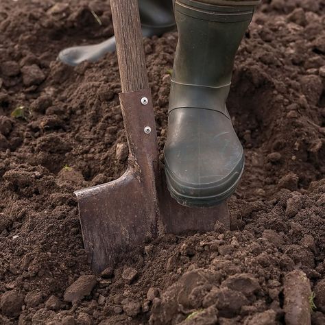 Garden Scraper, Shovel Design, Shovel Aesthetic, Snow Shovels, Weaponized Shovel, Rid Of Ants, Kill Ants, Digging Tools, Get Rid Of Ants