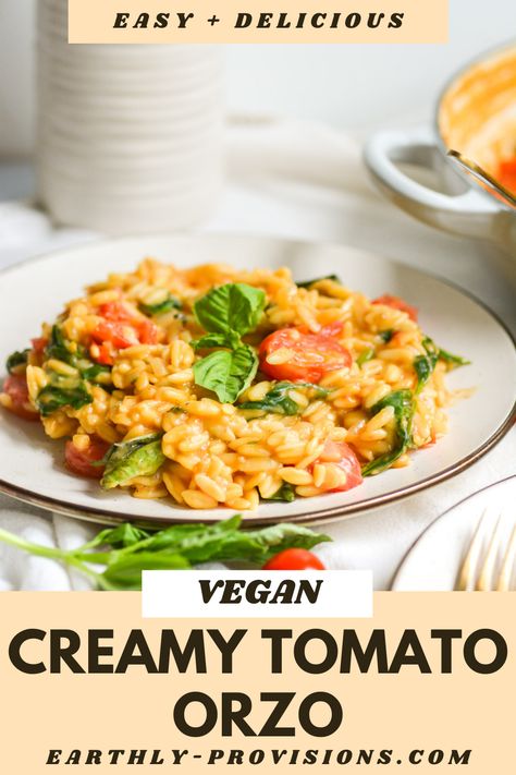 Craving something amazing and effortless for dinner? Try this Delicious 10-Ingredient Vegan Orzotto! It's like a fancy risotto, but we've swapped the rice for orzo pasta to keep things interesting. No fuss, no muss - all the goodness in one pan. With just 10 simple ingredients, you'll be enjoying a mouthwatering vegan dinner without breaking a sweat! Fancy Risotto, Vegan Orzo, Vegan Pasta Noodles, Orzo Pasta Recipes, Orzo Dishes, Vegan Risotto, Vegan Casserole, Pasta Noodle Recipe, Noodle Recipes Easy