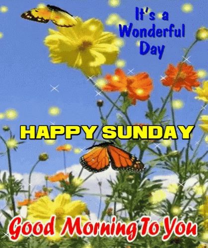 Happy Sunday Good Morning GIF - HappySunday GoodMorning SundayMorning - Discover & Share GIFs Happy Sunday Hd Images, Sunday Gif, Happy Sunday Images, Latest Good Morning Images, Happy Sunday Morning, Special Good Morning, Sunday Images, Good Morning Images Download, Good Morning Beautiful Gif