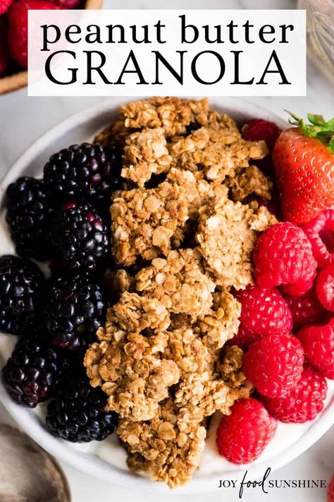 This peanut butter granola recipe is easy to make with 6 ingredients in 30 minutes! It's a nutritious alternative to store-bought granola! Healthy Peanut Butter Granola, Peanut Butter Granola Recipe, Easy Granola Recipe, Homemade Granola Recipe, Easy Homemade Granola, Honey Granola, Easy Granola, Granola Recipe Homemade, Clean Snacks