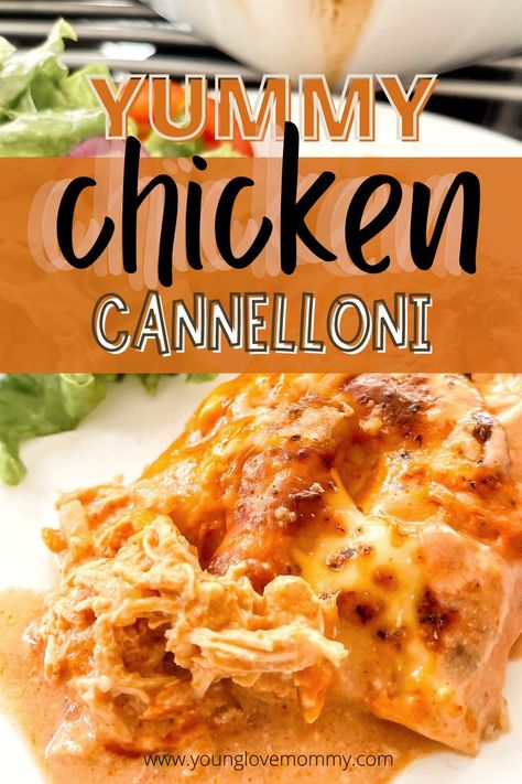 Cannelloni Chicken topped with melted cheese Chicken Cannelloni Recipes, Chicken Cannelloni, Healthy Recipes Kids, Cannelloni Recipe, Amazing Pasta, Cannelloni Recipes, Easy And Healthy Recipes, Yummy Chicken, Cheesy Recipes