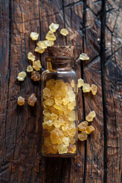 Benzoin immortelle resin essential oil in a bottle. Selective focus. stock photo Benzoin Essential Oil, Benzoin Resin, Photo Focus, Girls Tshirts, Essential Oil, Photo Image, Essential Oils, Stock Photos, Collage