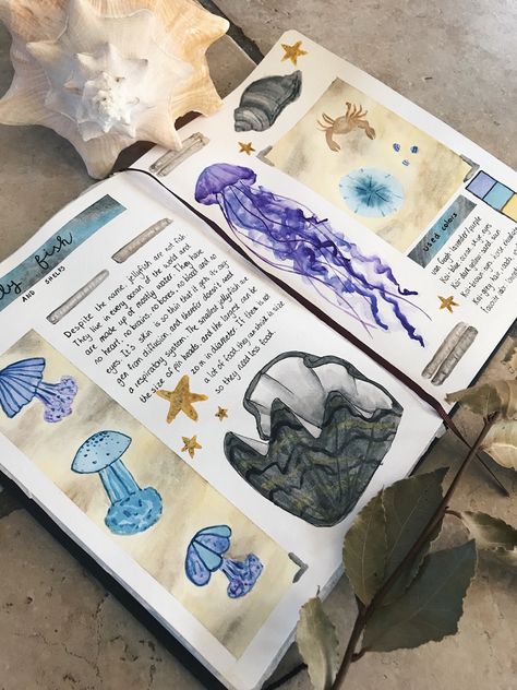 A journal spread about the sea! #journal #journaling #journalinspiration #sea #zee #watercolor #waterverf #shells #jellyfish Sea Sketchbook, Waterpaint Ideas, Sea Scrapbook, Ocean Journal, Sea Journal, Shell Diy, Gcse Art Sketchbook, A Level Art Sketchbook, Biology Art