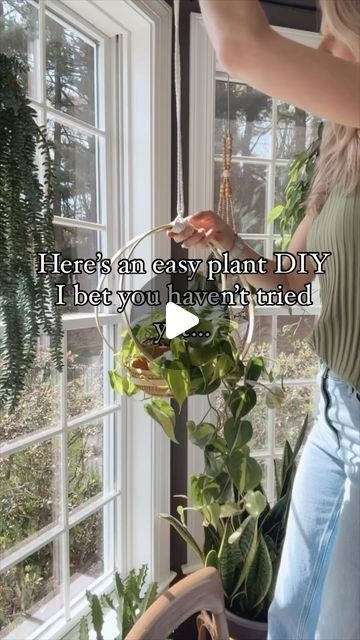 How To Hanging Plants, Hanging Plant Curtain, Hanging Plants In Window, Ideas For Hanging Plants, Hanging Indoor Plant Ideas, How To Hang Plants Indoors, Hanging Plants Over Tub, Hanging Plants Indoor Window, How To Hang Plants From Ceiling Diy