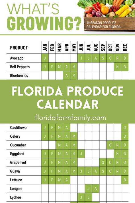 Florida Growing Calendar, Florida Fruit And Vegetable Garden, Produce Calendar, Florida Lanai, Gardening Business, Simple Supper, Growing Calendar, Lab Ideas, Florida Garden