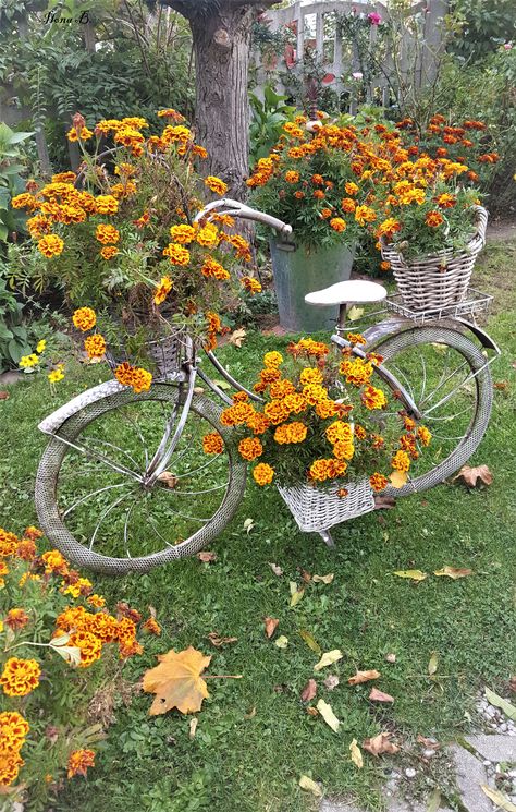 Bike Planter, Bicycle Decor, Potted Plants Outdoor, Rustic Garden Decor, Entrance Decor, Vintage Garden, Rustic Gardens, Succulents Diy, Garden Accessories